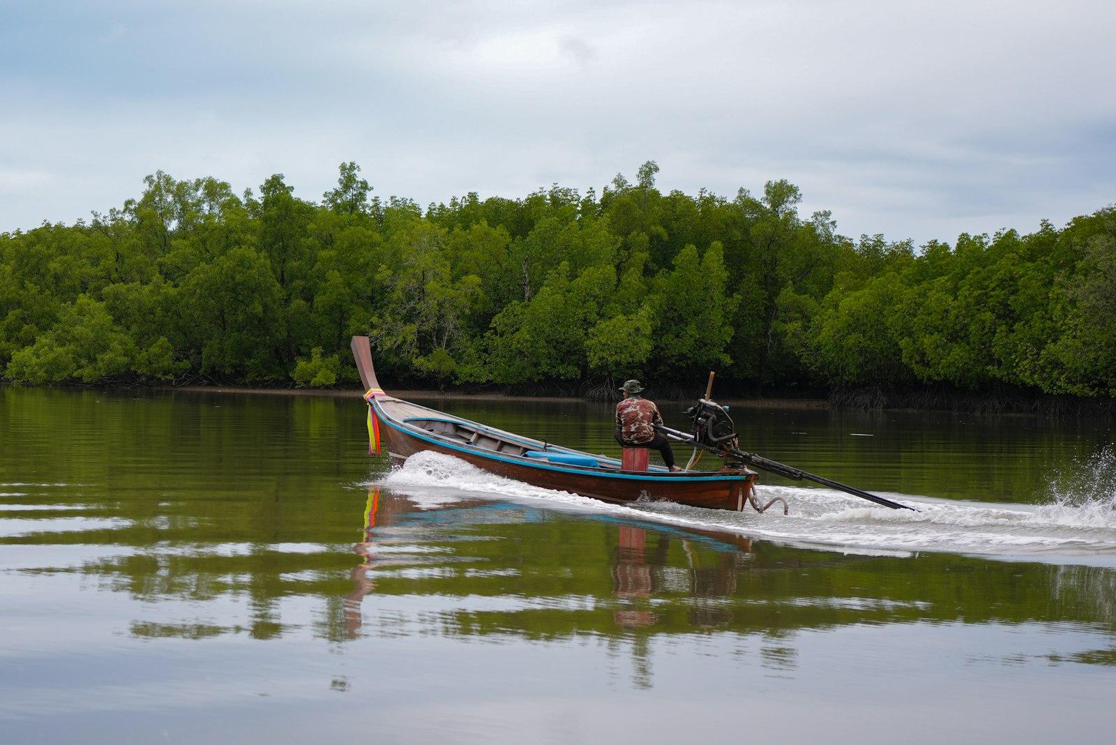 A captain steering a longtail boat through a mangrove channel, engine and tail shaft visible at the stern